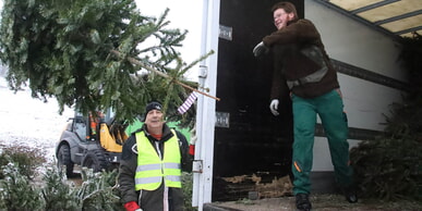 Weihnachtsbaum-Sammlung des CVJM