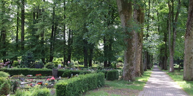 Workshop – Unser Friedhof summt