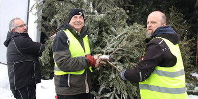 CVJM holte Weihnachtsb&auml;ume ab