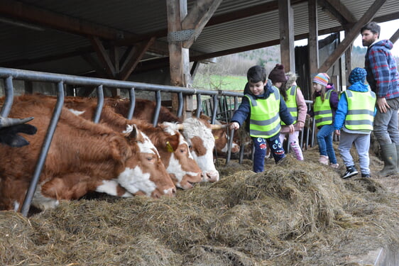 Schnell verloren die Kinder die Schau vor den großen Rindern. Foto: Wolfgang Teipel