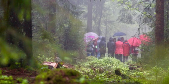 Was wie eine mystische Trauerfeier aussieht, ist eine neugierige Truppe von wettertrotzenden Frauen beim ‚Waldbaden‘ (Foto: Haidle)