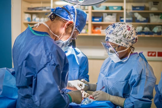 Die Africa Mercy ist mit sechs OP-Sälen, Labor, Apotheke, Computertomograph, Intensivpflege und anderem medizinischem Gerät ausgestattet. (Foto: Mercy Ships)