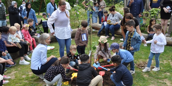 Nach dem Einpflanzen klopften die Kinder die Erde über den Wurzeln fest. (Foto: Karl-Herrmann Ernst)